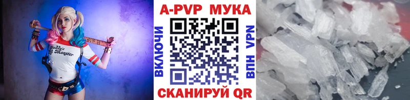 где можно купить наркотик  Суздаль  A-PVP кристаллы 
