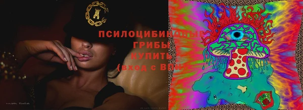 дживик Мегион