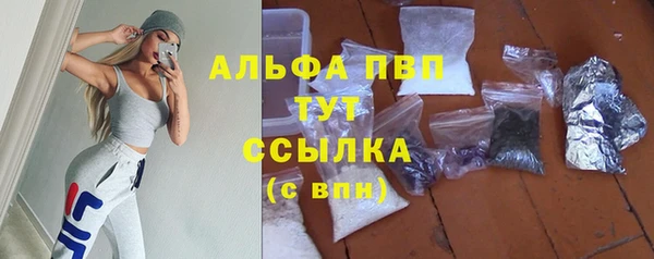 дживик Мегион