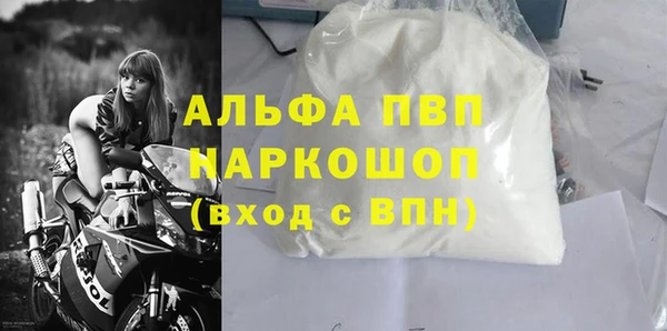 молекула духа Михайлов