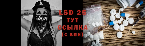 молекула духа Михайлов