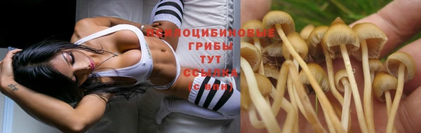 эйфоретик Бежецк