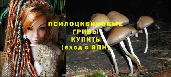дурь Михайловск