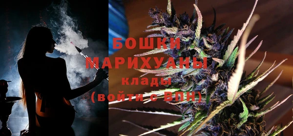 дживик Мегион