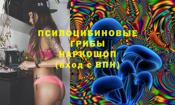 молекула духа Михайлов