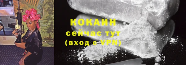 дживик Мегион