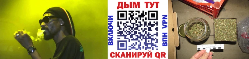 купить наркотики сайты  Суздаль  Шишки марихуана OG Kush 